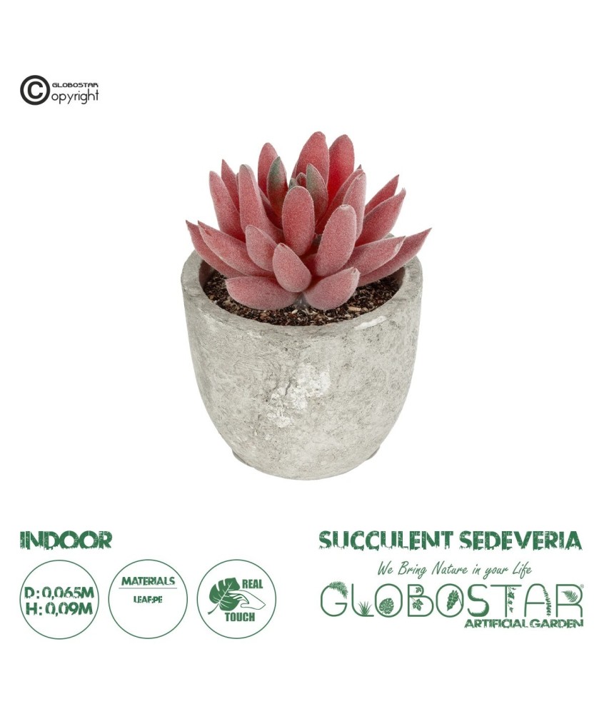 GloboStar® Artificial Garden SUCCULENT SEDEVERIA 21020 Τεχνητό Διακοσμητικό Φυτό Σεδεβέρια Μ6.5 x Π6.5 x Υ9cm